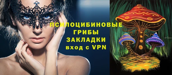 apvp Белокуриха