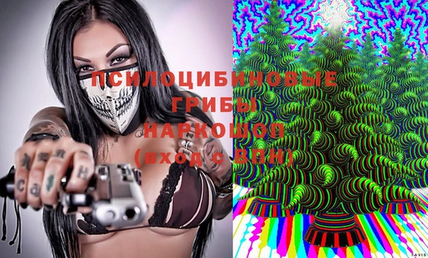 apvp Белокуриха